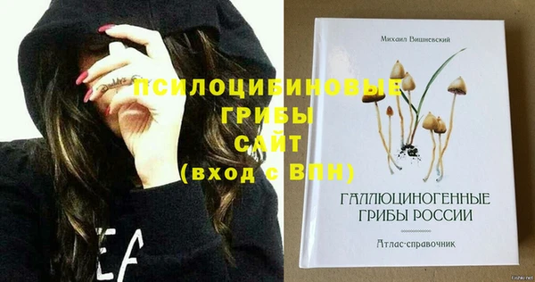 прущая мука Абаза