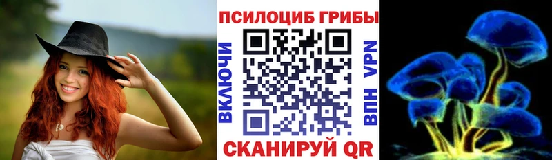 Псилоцибиновые грибы мицелий  наркота  Касли 